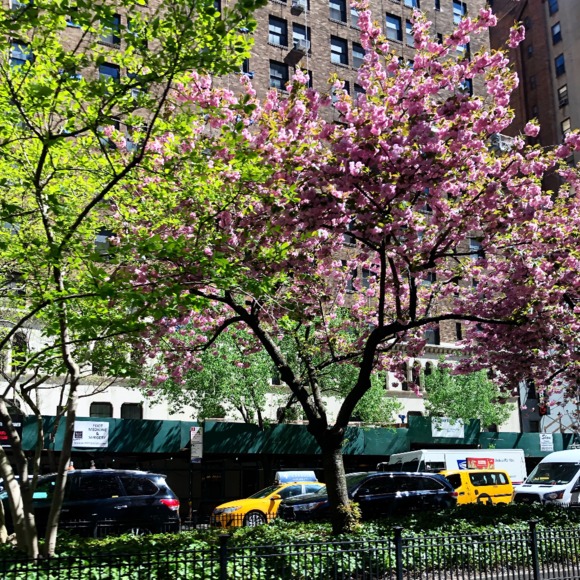 Meet your Posher, Olga - Picture 1 of 1